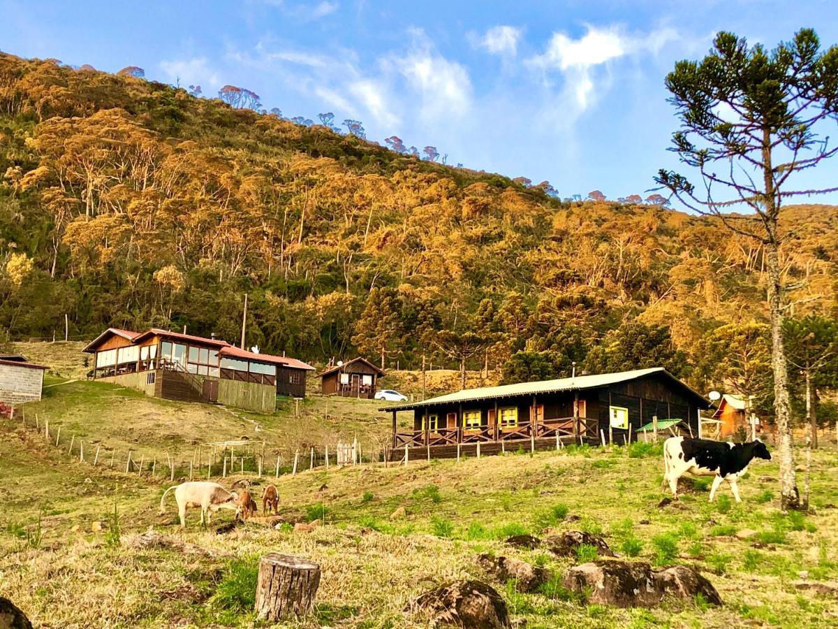 Fazenda Morro Das Torres Urupema Zewnętrze zdjęcie