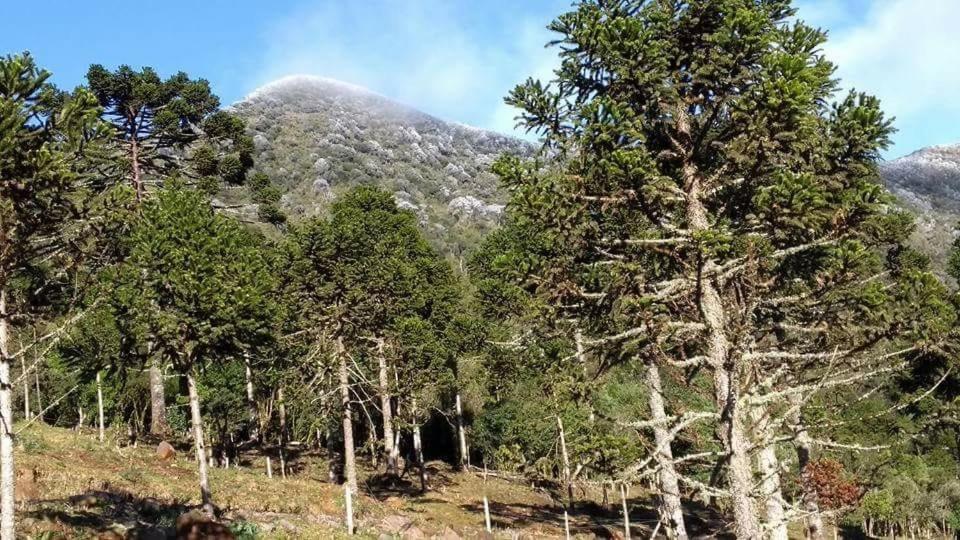 Fazenda Morro Das Torres Urupema Zewnętrze zdjęcie